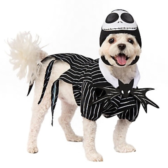 Disney Other - Disney Costume S Dog Jack Skellington